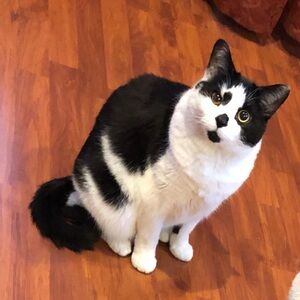 Meet your Posher, Kailyn and Mandy